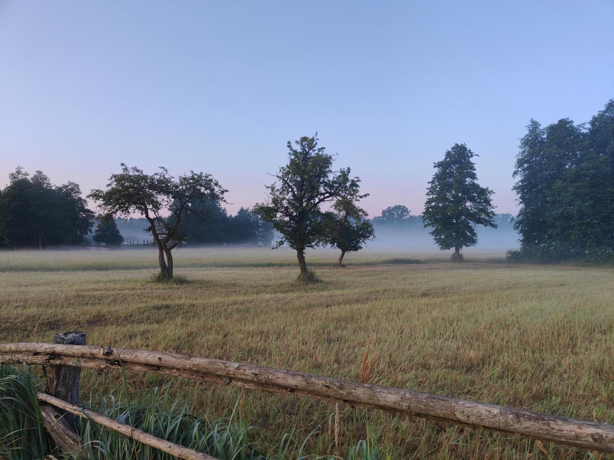 Debowe Krolestwo Lesniczowka W Puszczy Na Wylacznosc Policzna  ภายนอก รูปภาพ